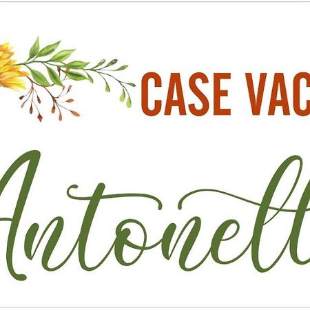 Case Vacanze Con Vista Panoramica Da Antonella Vieste Buitenkant foto